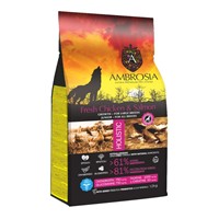 AMBROSIA GF PUPPY LARGE CHICKEN & SALMON 12Kg