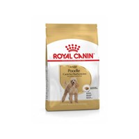 ROYAL CANIN POODLE ADULT 1,5KG