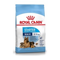 ROYAL CANIN MAXI STARTER 4KG