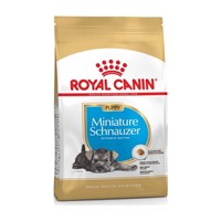 ROYAL MINIATURE SCHNAUZER PUPPY 1.5Kg