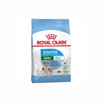 ROYAL CANIN MINI STARTER 4KG