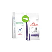 ROYAL CANIN DENTAL DOG 6KG