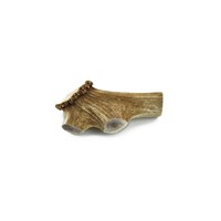 CHERVUS ELAPHUS ΦΥΣΙΚΟ ΚΕΡΑΤΟ GIANT  180-240gr