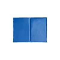 GLEE COOLING PAD BLUE S 40 x 50cm