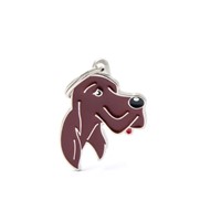 ΤΑΥΤΟΤΗΤΑ FRIENDS IRISH SETTER