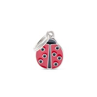 ΤΑΥΤΟΤΗΤΑ CHARMS LADYBUG