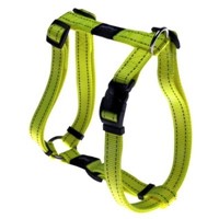 ROGZ ΣΑΜΑΡΑΚΙ ΣΚΥΛΟΥ LG FANBELT DAYGLO