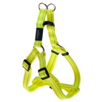 ROGZ ΣΑΜΑΡΑΚΙ STEP IN SM NITELIFE DAYGLO