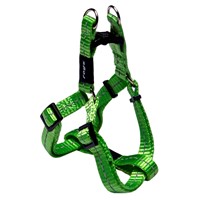 ROGZ ΣΑΜΑΡΑΚΙ STEP IN SM NITELIFE LIME