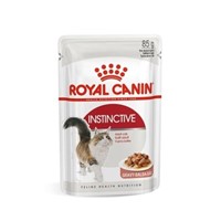 ROYAL CANIN ADULT INSTICT 12X85GR GRAVY