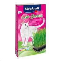 VITAKRAFT CAT GRASS ΓΡΑΣΙΔΙ ΓΙΑ ΓΑΤΕΣ 120GR