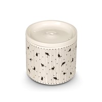 GLEE ΣΥΝΤΡΙΒΑΝΙ ΚΕΡΑΜΙΚΟ ΛΕΥΚΟ ΜΑΥΡΟ BLACK CATS O/S - 1000ml