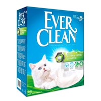 EVERCLEAN EXTRA STRONG ΑΡΩΜΑTIKH 26LT (2X10LT 1X6LT)