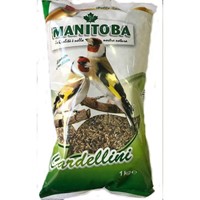 MANITOBA CARDELLINO 1KG