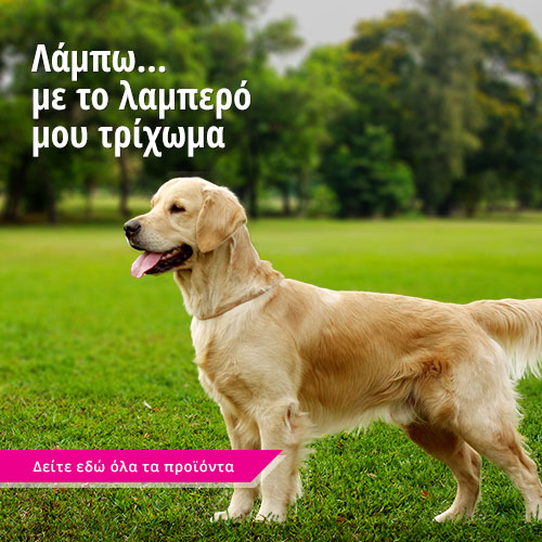 λαμπερό τρίχωμα