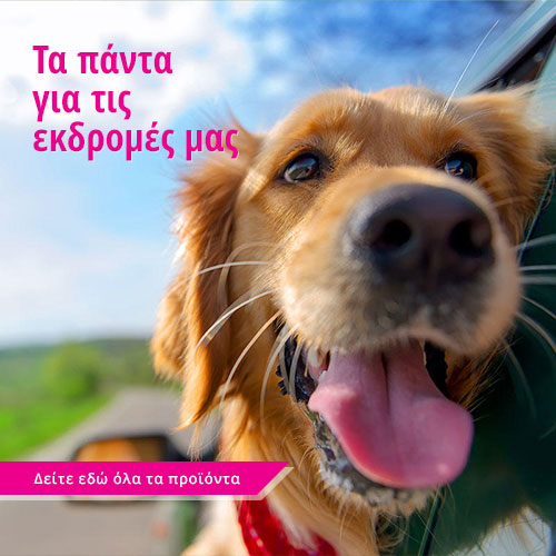 εκδρομη 