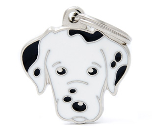 dalmatian