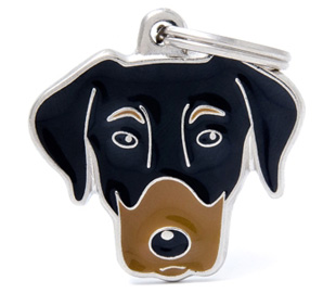 doberman