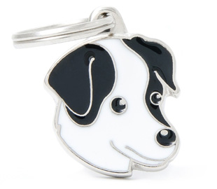 jackrussel
