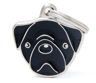 pug