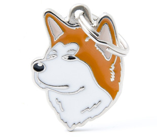 shibainu